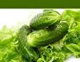 زندگی با طعم لاکچری خیار و کاهو